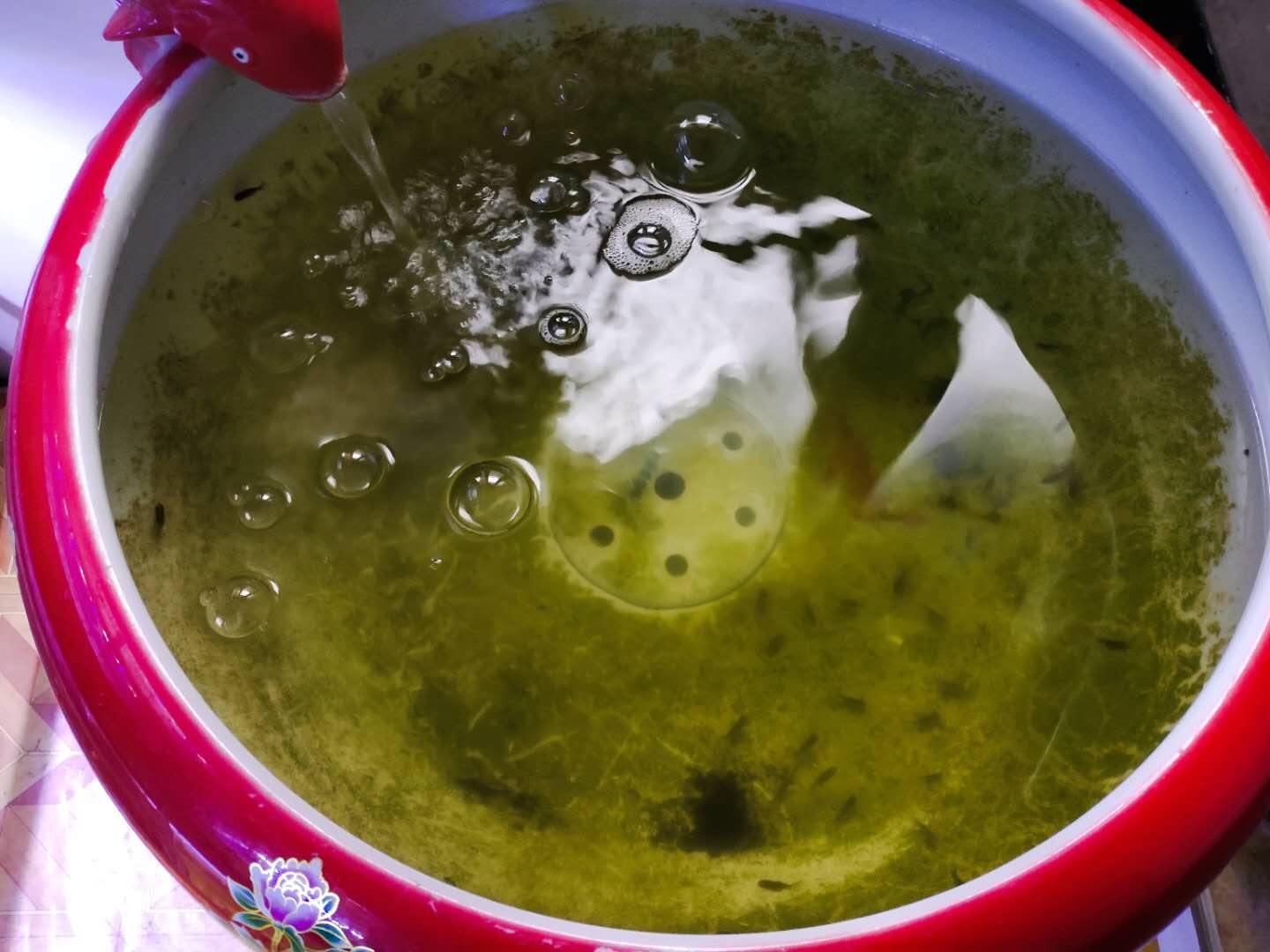 鱼缸水面上的泡沫什么样属于正常,鱼缸水面漂浮多少泡沫需要清理