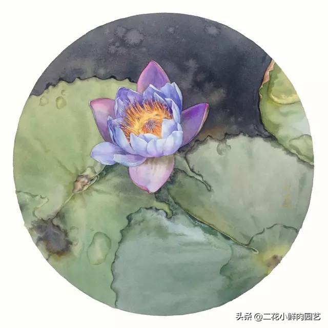 100种花卉绘画,100多张花卉线描手稿素材赶快收藏
