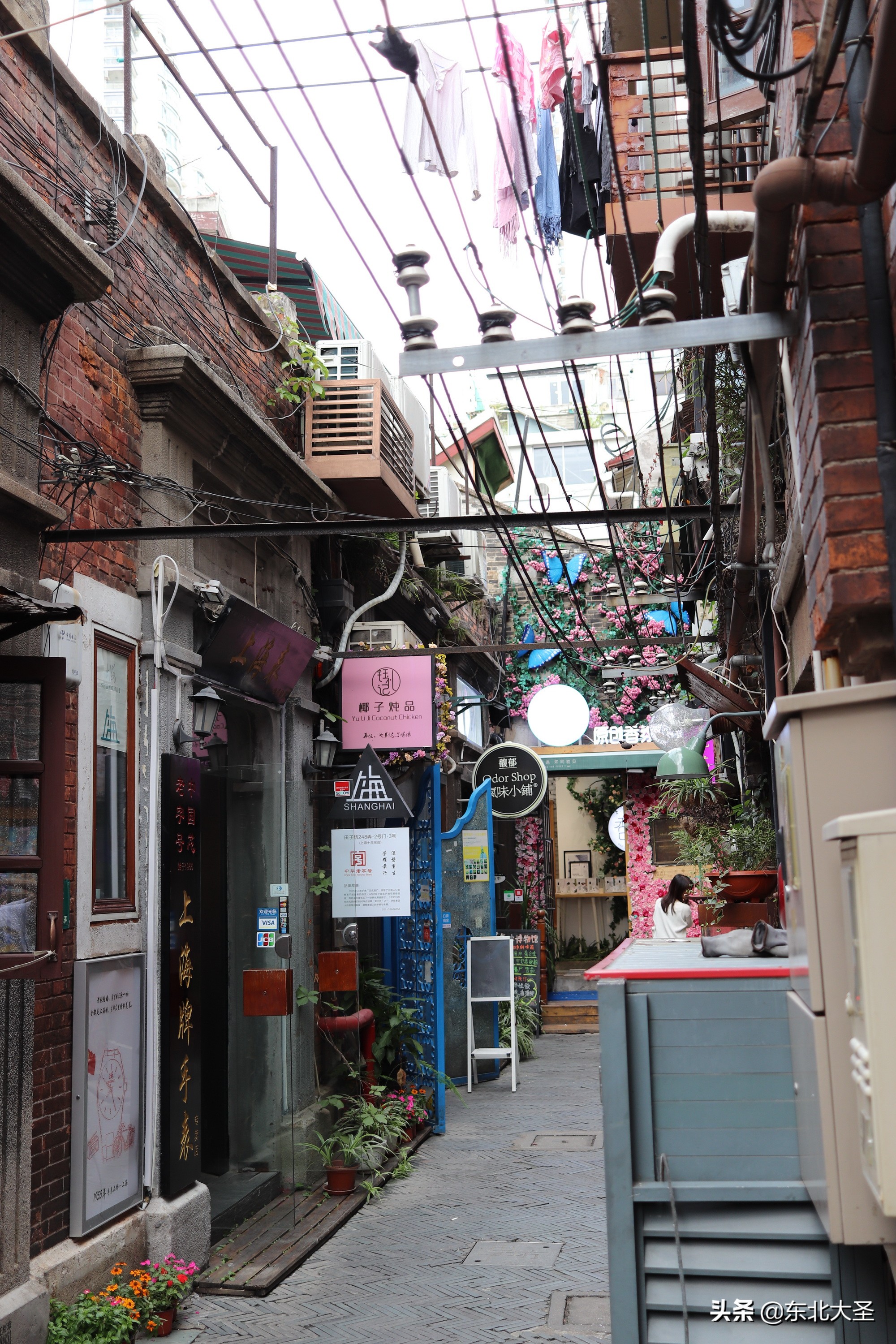 苏州杭州上海乌镇六日游含迪士尼,西湖乌镇南浔西塘三日游