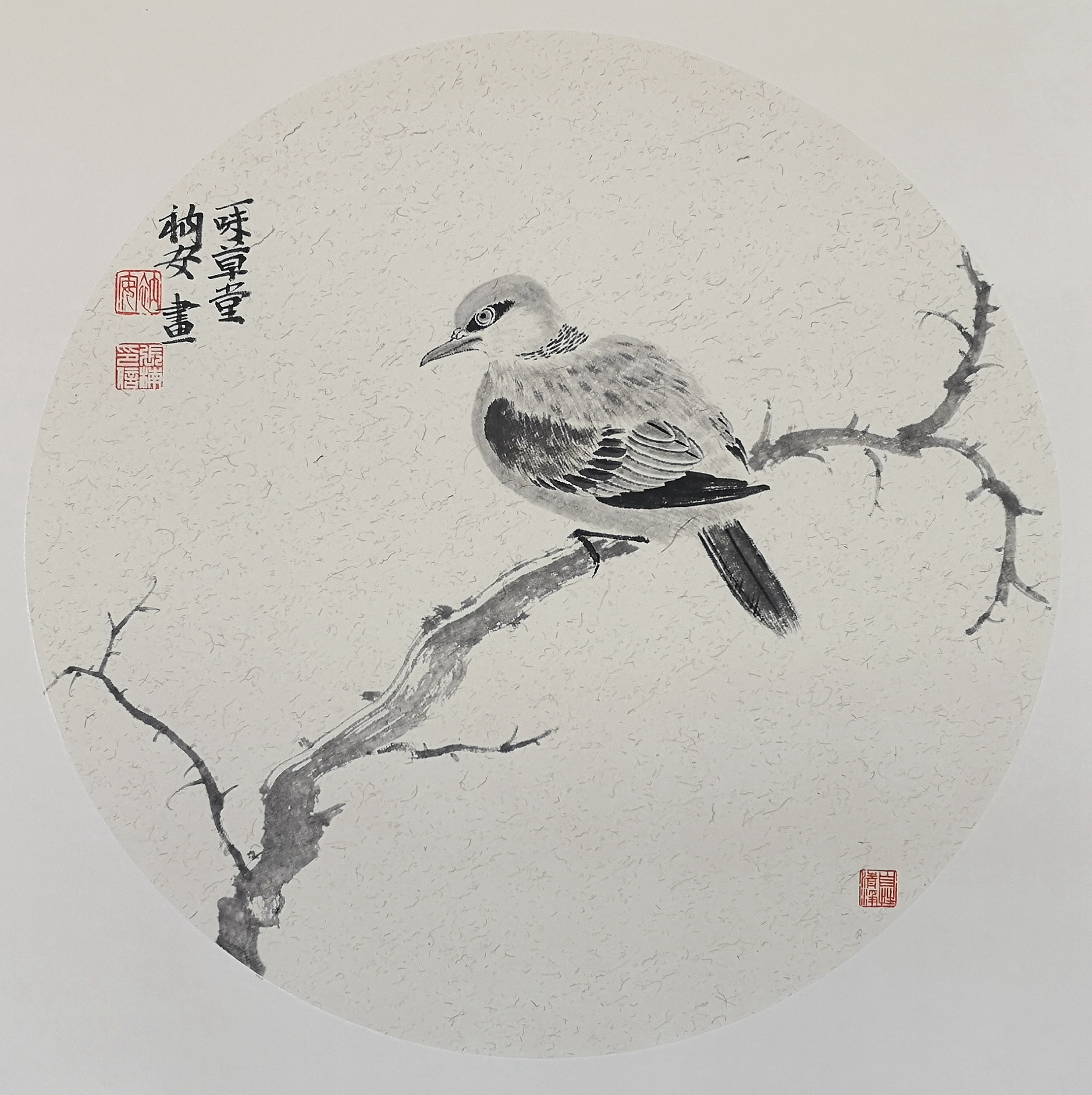 青年画家张楠:画画的时候,就要做到“心无杂念”。