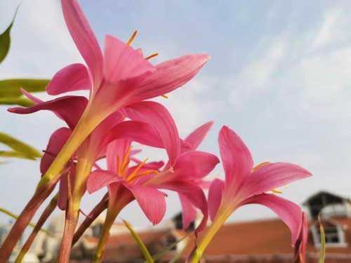 尔后,尔后美肤定制中心