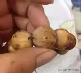 文玩变红最快的方法,文玩中长毛是什么