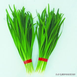 春天得吃点春韭,吃春韭