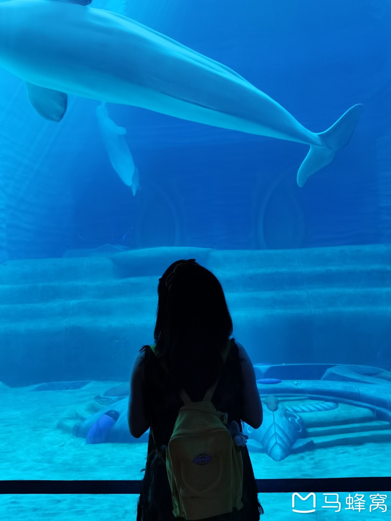 三亚夏天的海和冬天的海,三亚冬天如夏