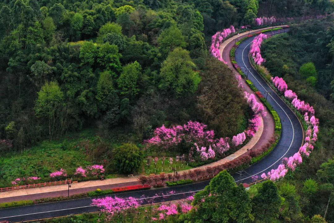 四川成都最适合养老的地方,四川成都养老