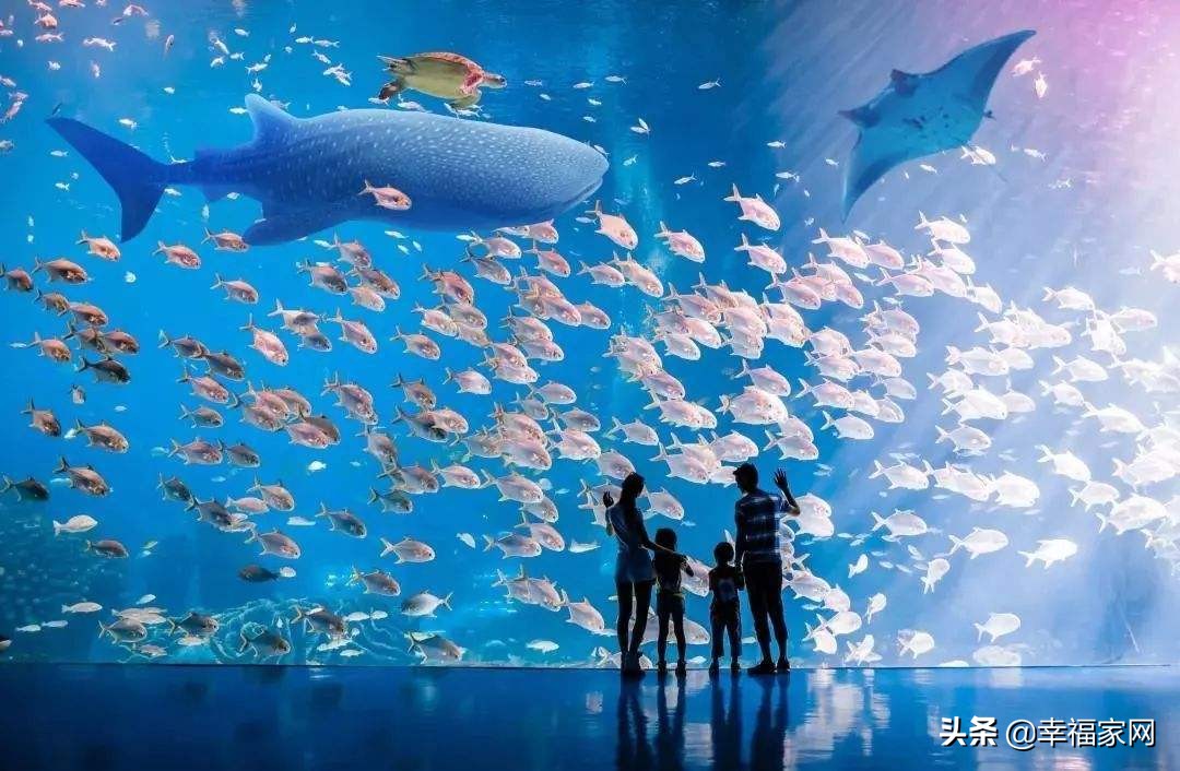 珠海长隆海洋王国全面游玩攻略,珠海长隆海洋王国游玩时间攻略