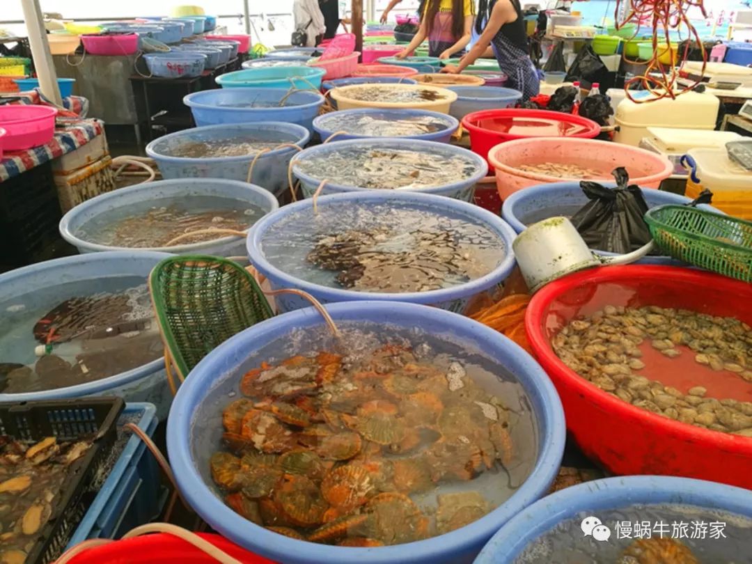 这个南国海岛高铁直达，海鲜超级便宜大人不累、孩子很开心