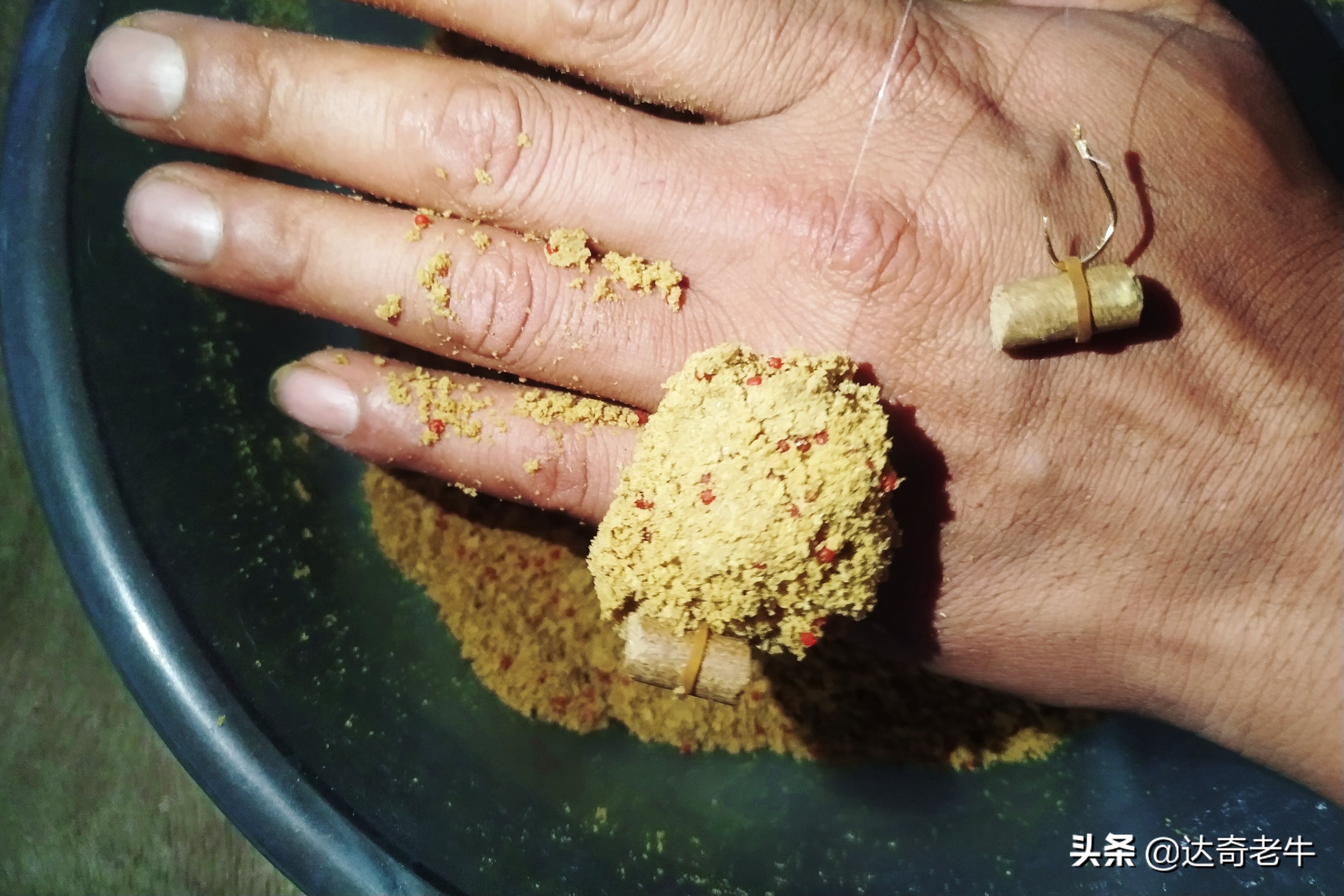 既能黑坑也能野钓的饵料,万能饵料是真是假