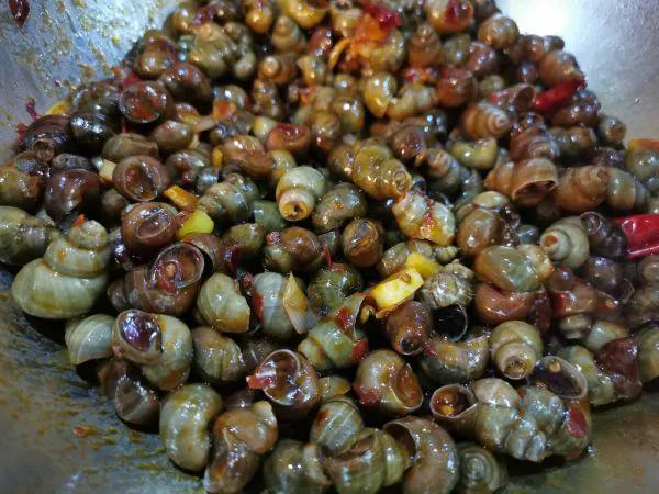 炒田螺不要辣家常做法,炒田螺最忌直接下锅