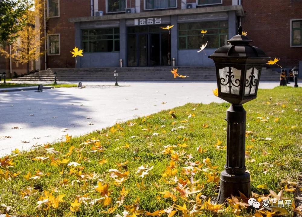 北京昌平十三陵民宿推荐,昌平民宿独立小院20人