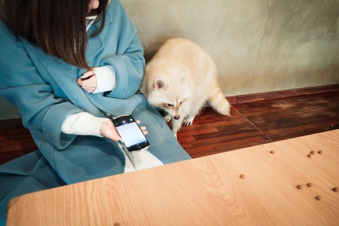 新手怎么逛免税店攻略,50家免税店最划算攻略在此