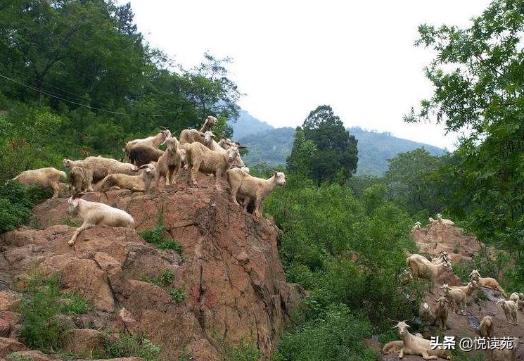 范墩子精彩视频,范墩子