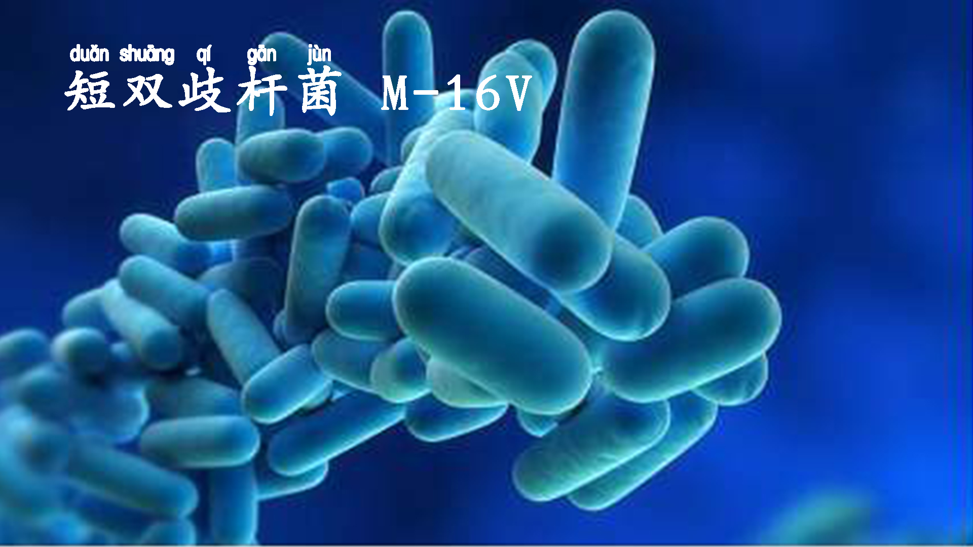 提高免疫力从宝宝抓起,给小孩提高抵抗力和免疫力