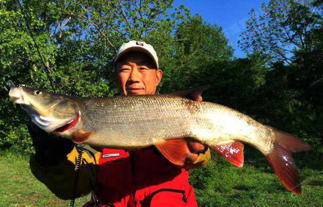 俄罗斯适合什么方法钓鱼,俄罗斯人是如何捕鱼的