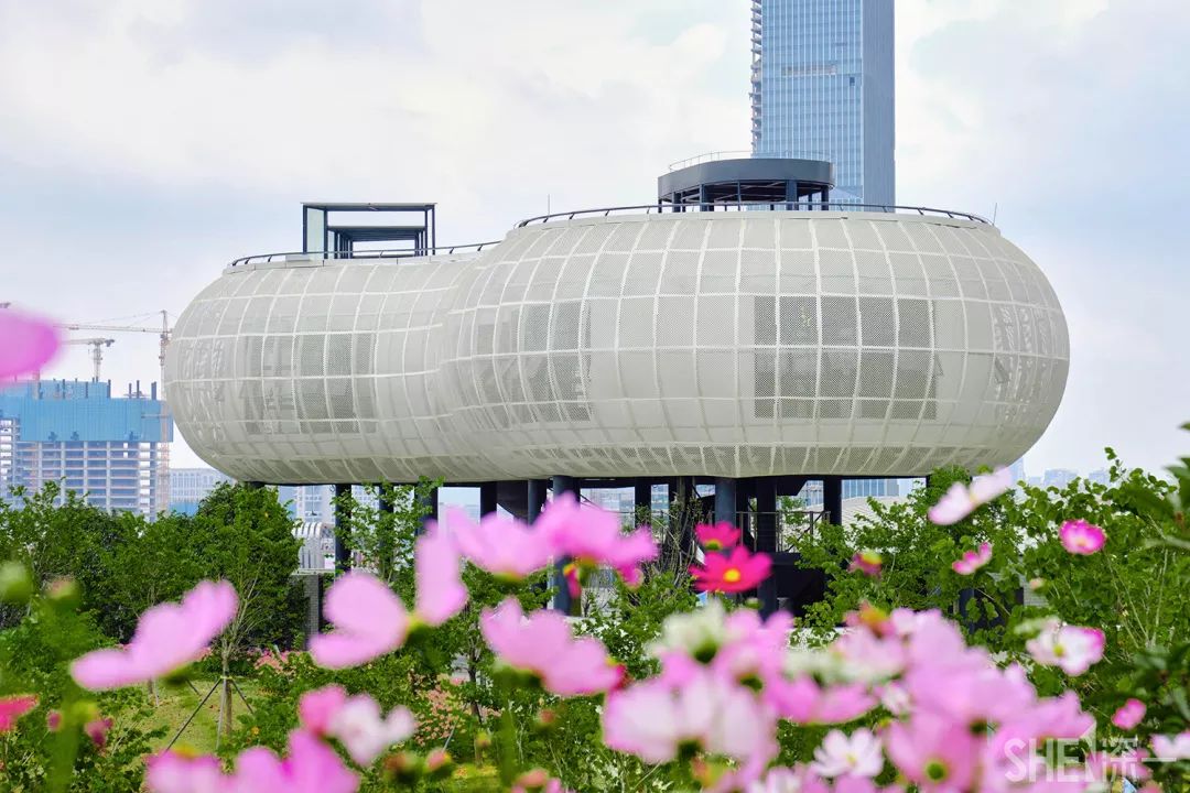 深圳龙华公园推荐,深圳龙华免费公园