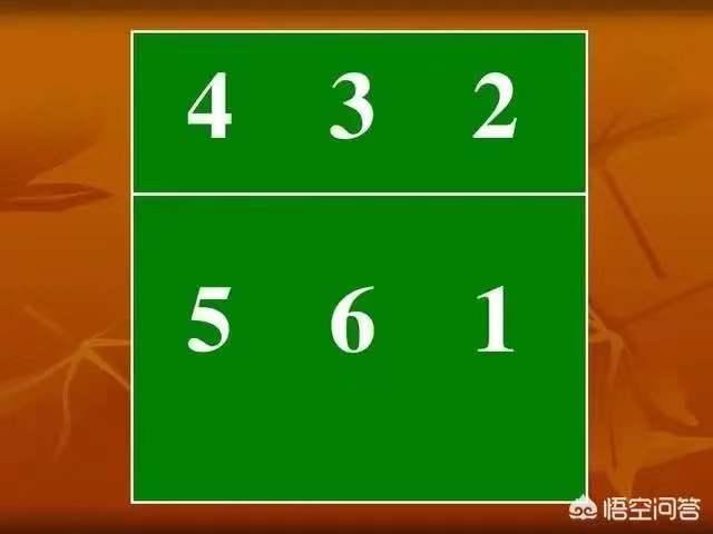 排球新手都需要知道什么,关于排好队的知识