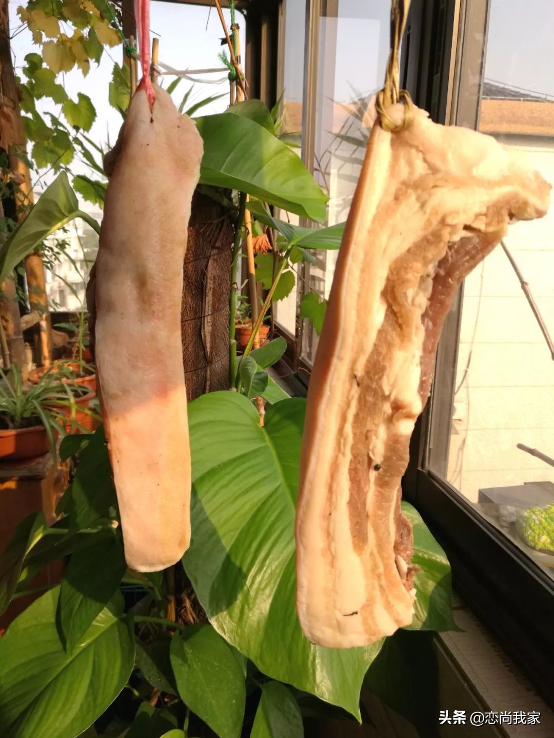 又到腌晒腊肉香肠的季节,又到了灌香肠腌腊肉的季节