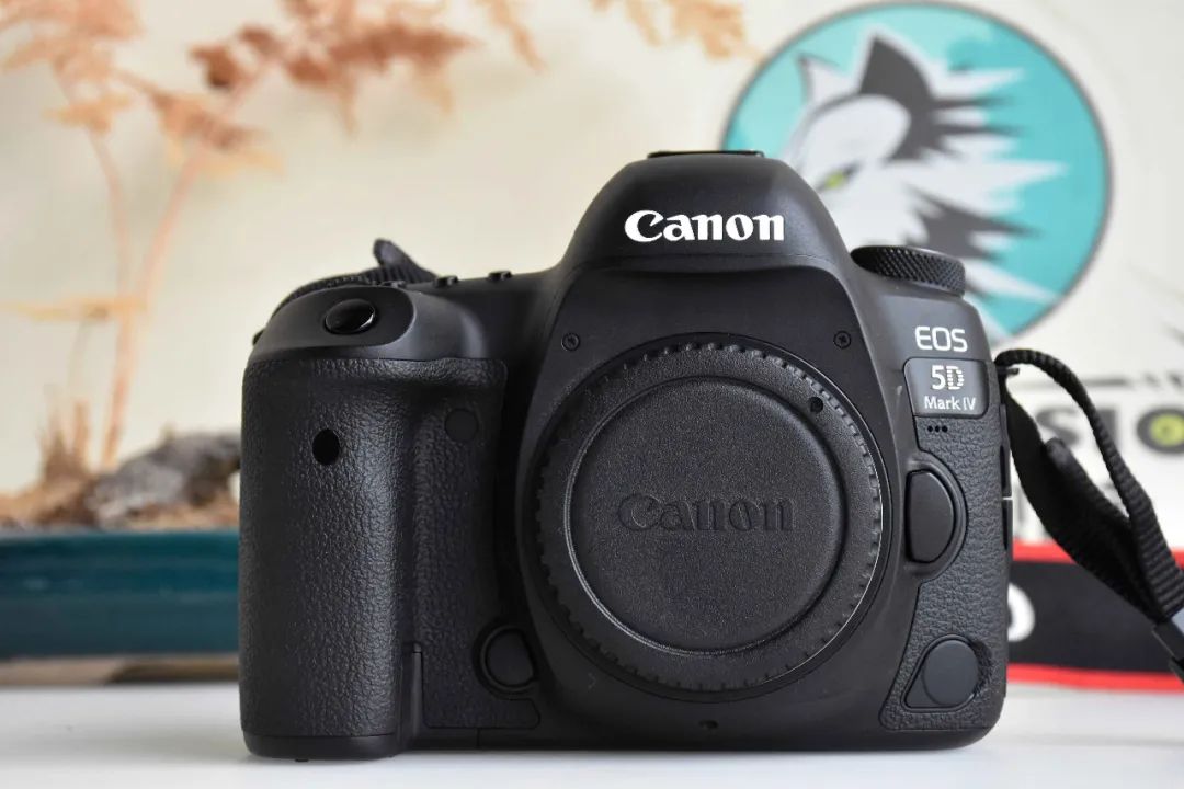 二手5d4和6d2买哪一个,全新6d2和二手5d4