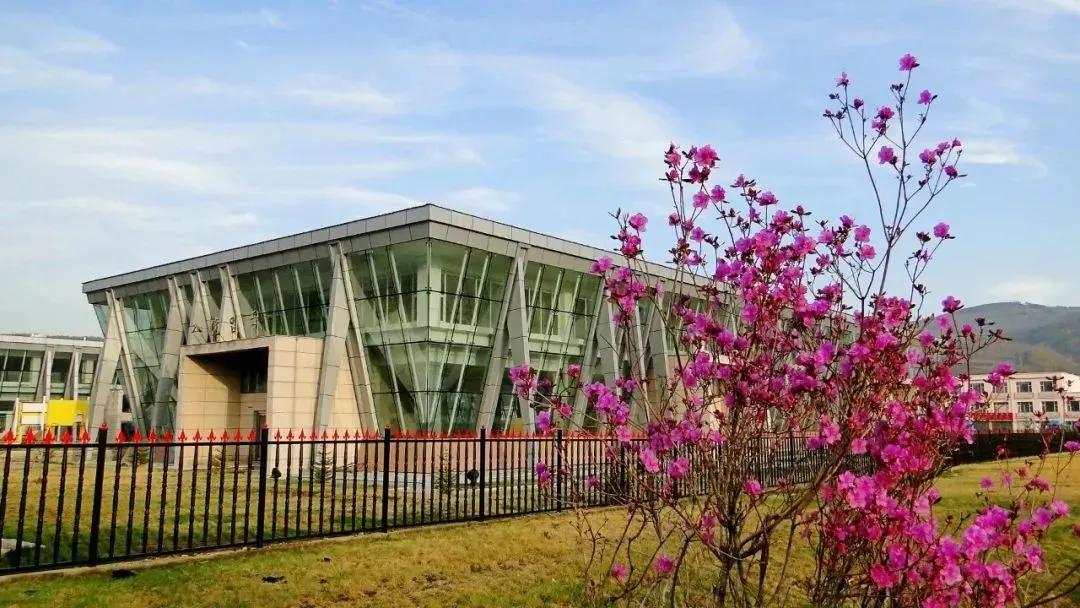 五一旅游如何去长白山,白山市4天旅游攻略