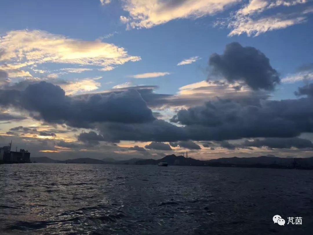 游走在香港大学,游走在深港边缘