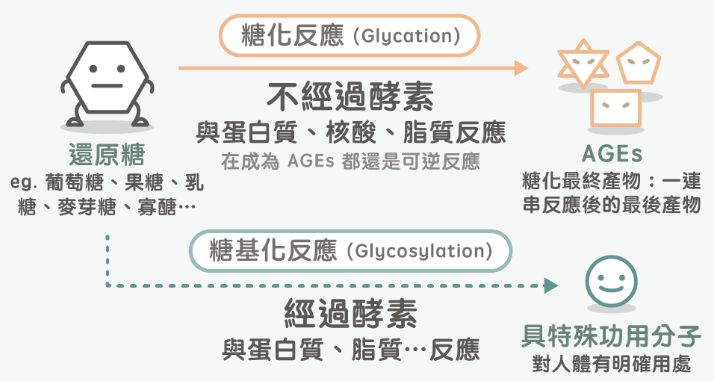 抗糖是智商税吗央视,抗糖真实测评