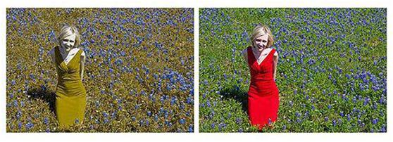 色盲包括单色识别不全么,色盲可以被治愈吗