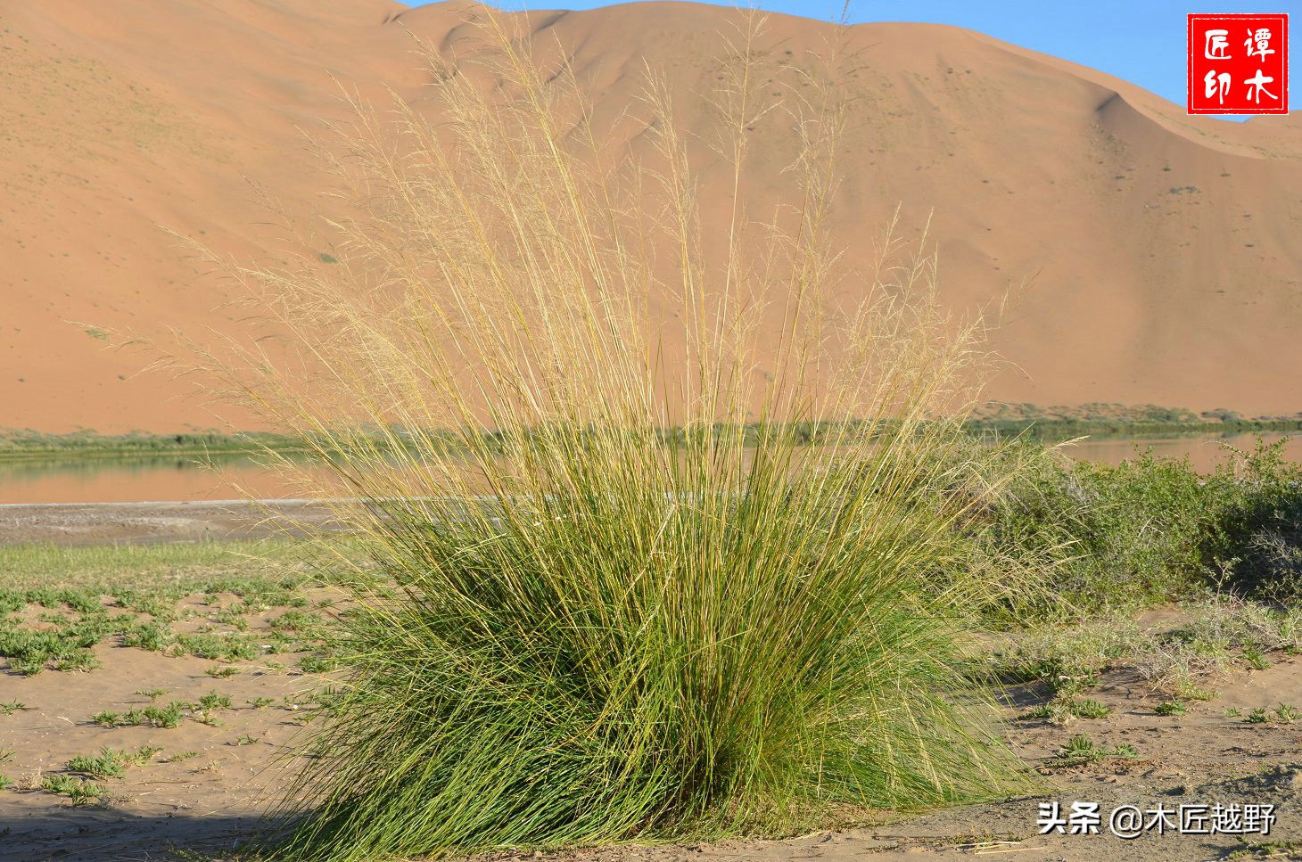 当木工学徒,当木匠的故事