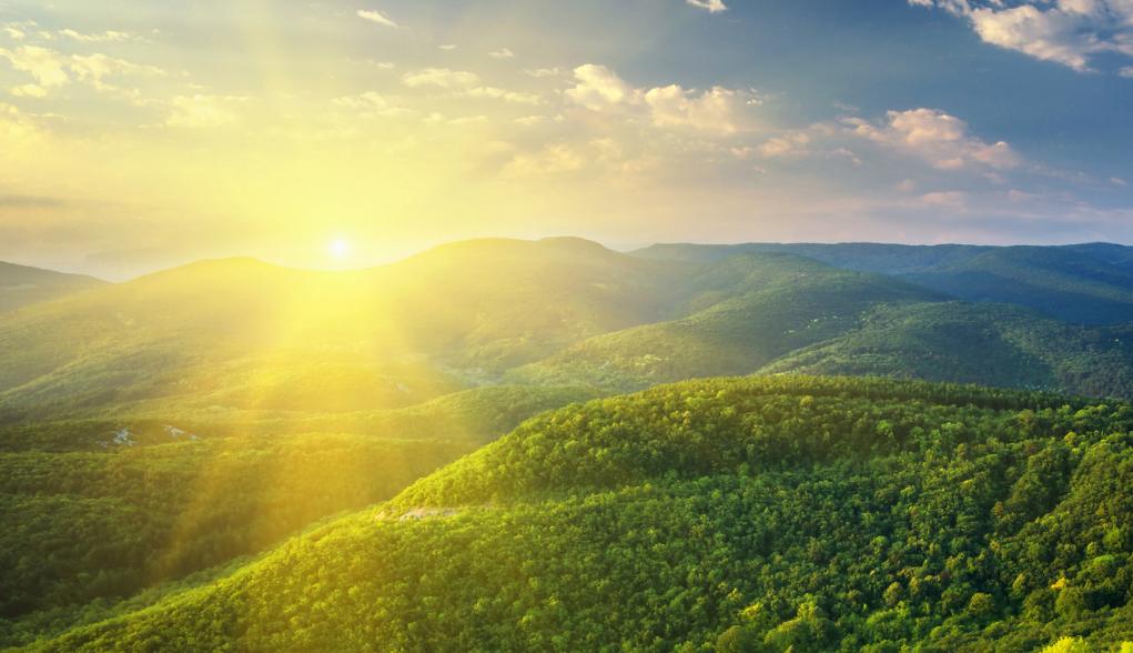 倾情诠释“司法为民”内涵