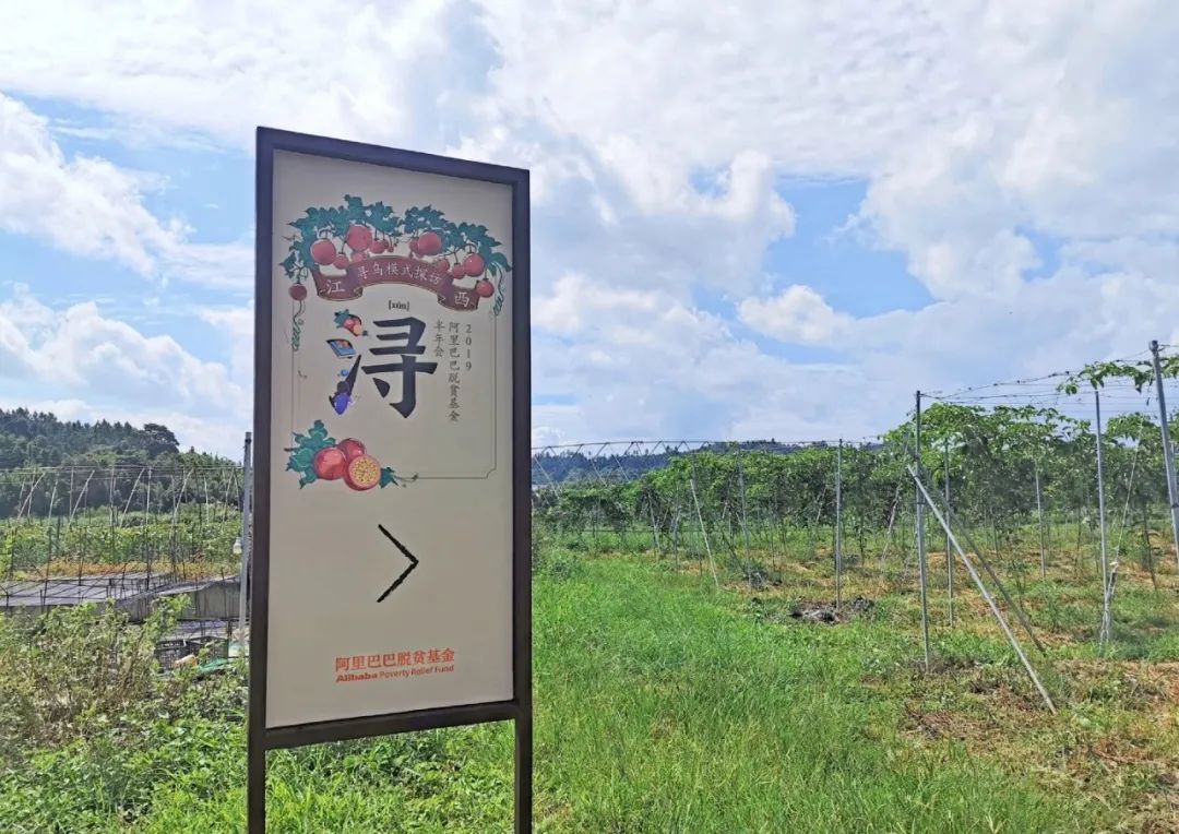 90后新农人直播视频,90后新农人创业故事