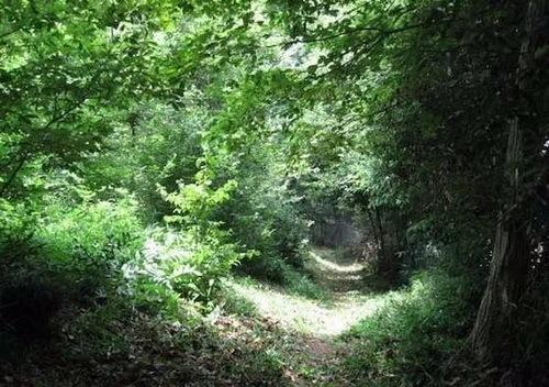 日本灌篮高手取景地打卡,灌篮高手拍照圣地