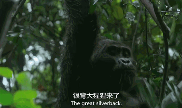 bbc有多有钱,bbc多有钱