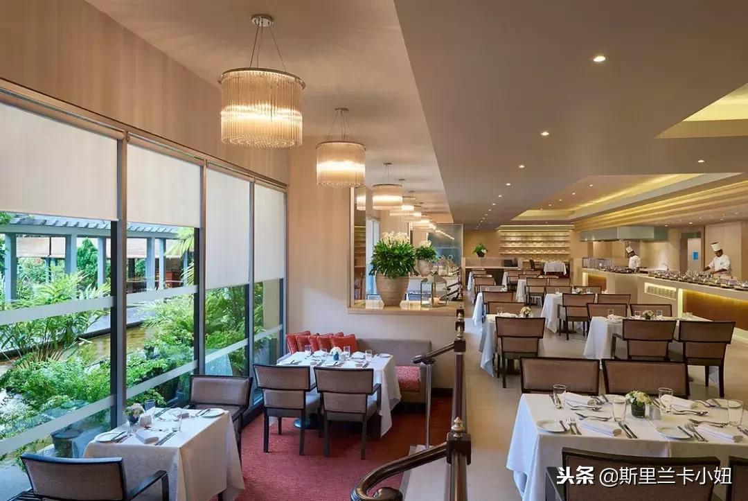 斯里兰卡首都科伦坡美食视频,斯里兰卡科伦坡菜