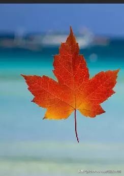 ps人物切割效果教程,ps如何制作人物消散效果