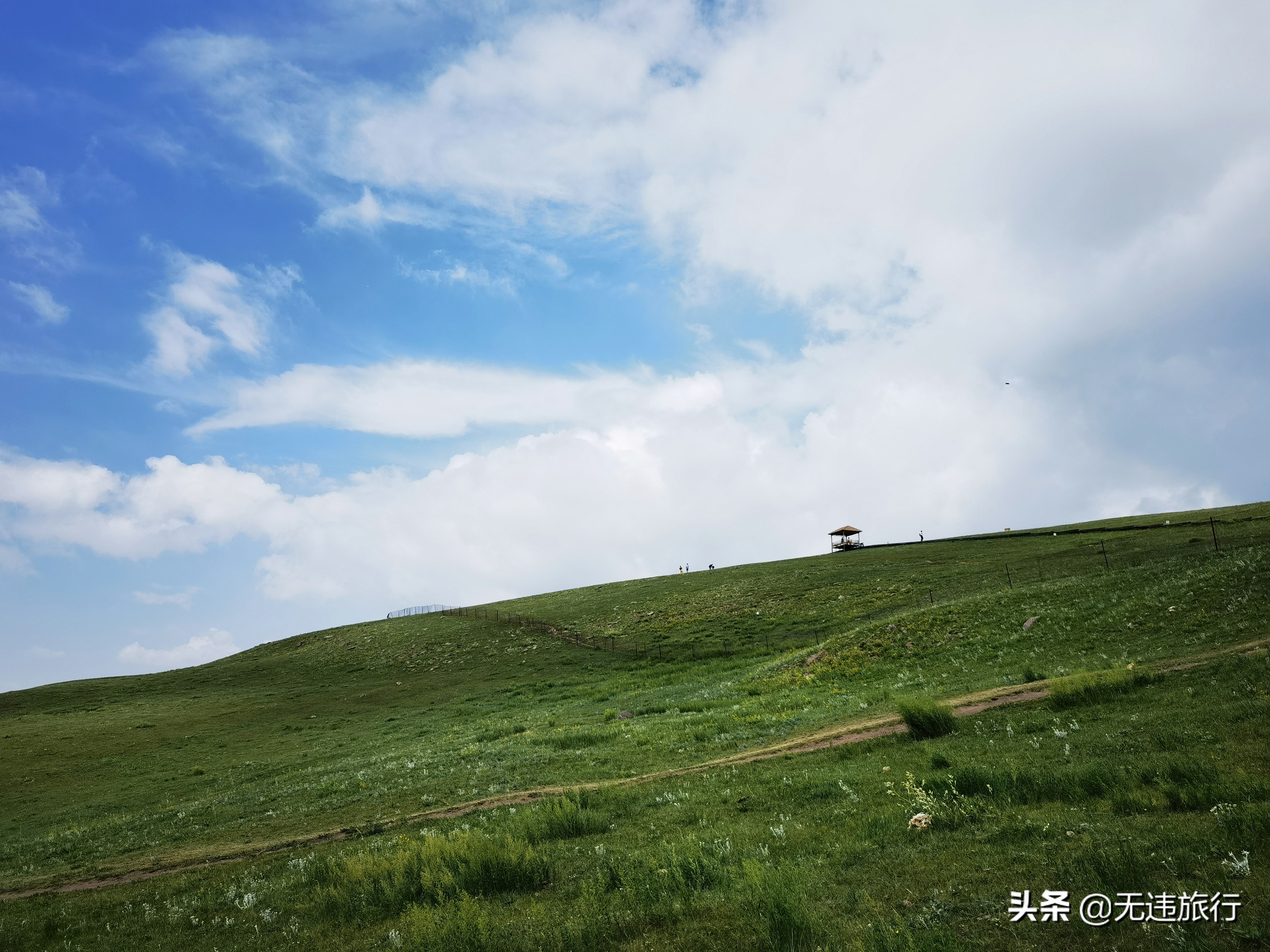 辉腾锡勒草原黄花沟游玩时长,辉腾锡勒草原黄花沟见闻