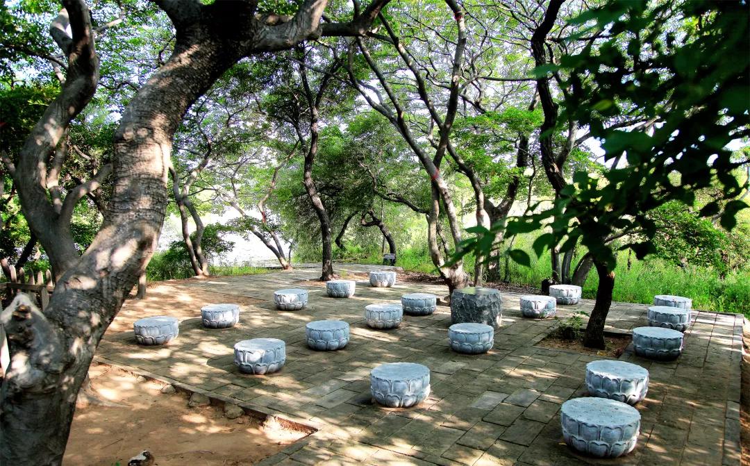 河北唐山海岛旅游攻略,唐山海岛