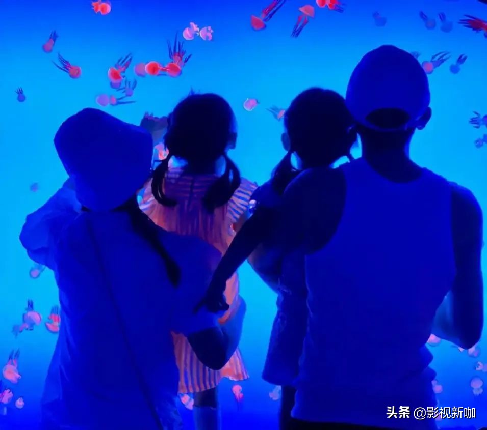 谢娜晒宝贝女儿,谢娜晒双胞胎女儿日常