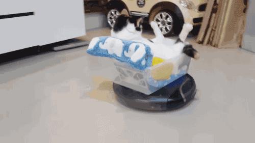 全屋智能家居系统很鸡肋,智能家居真的是鸡肋吗