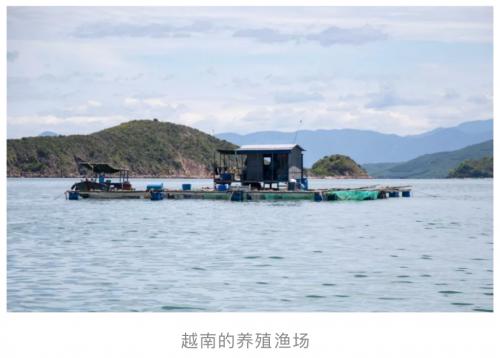 上海哪里能买到麦德龙,上海麦德龙实惠东西