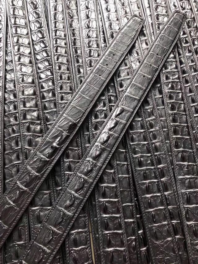 真正的鳄鱼多少钱一个,真正的鳄鱼多少钱