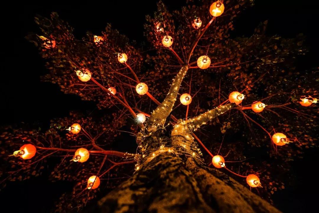 Duters在全球各地给您拜年啦