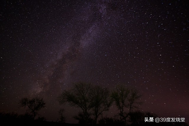 思锐三脚架最新报价,思锐a1005三脚架测评