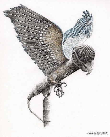 创意素描图片临摹大全4k,零基础简单素描画临摹