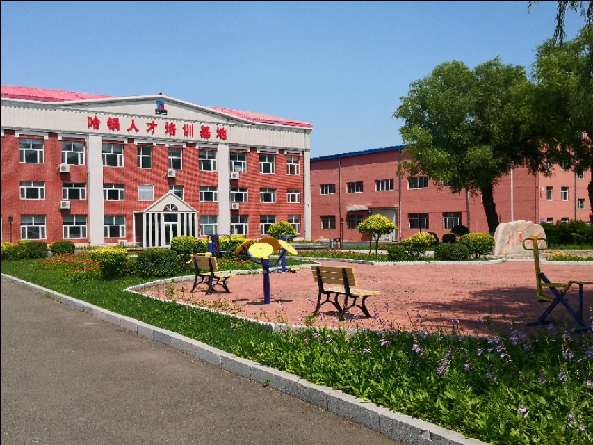 哈尔滨锅炉厂制造现场,哈尔滨三大动力集团