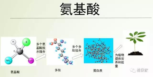 聚天门冬氨基酸有机水溶肥,聚天门冬氨酸在肥料中的添加数量