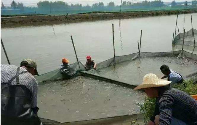 总碱度总硬度怎么调节,总碱度和硬度关系