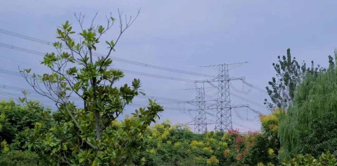 房价8万,逆袭张江?上海外环的唐镇能如愿逆袭吗?