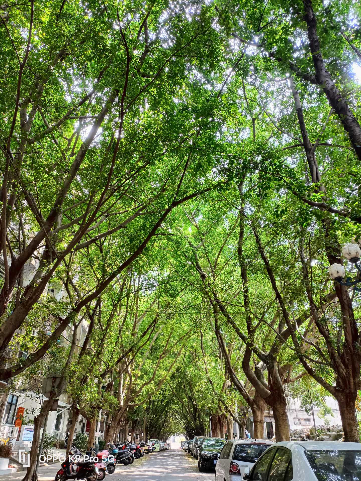 oppok9pro有哪些优点和缺点,oppok9pro评测最新