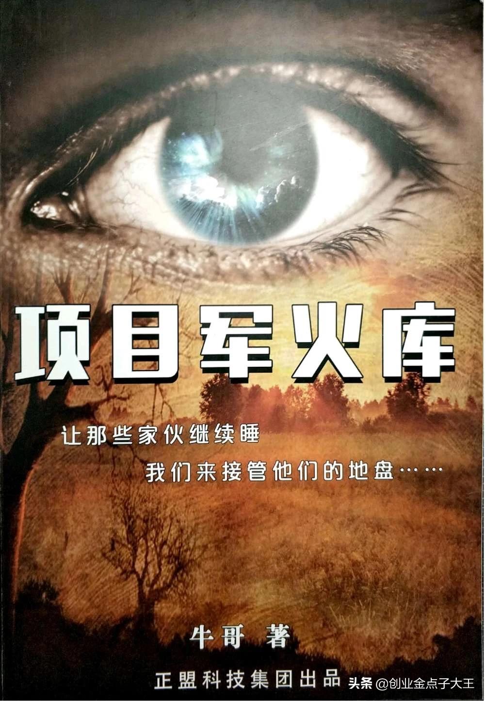 网上创业有哪些风险,未来创业趋势与陷阱