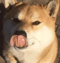 免费app是怎么盈利的,免费视频网站靠什么盈利