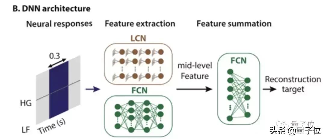 最强读心术！脑波直接转语音，你的秘密已无处藏身｜Nature子刊